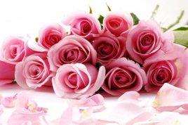 slide_banner_1_image